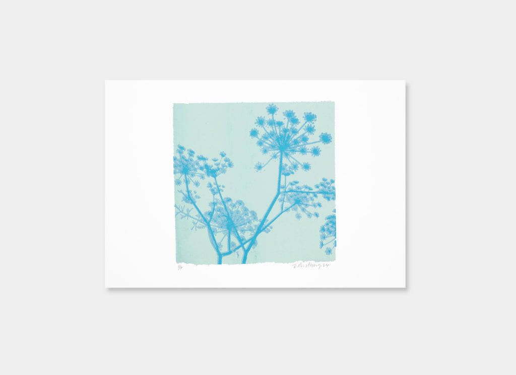 A Greek Dream (Green/Turquoise)