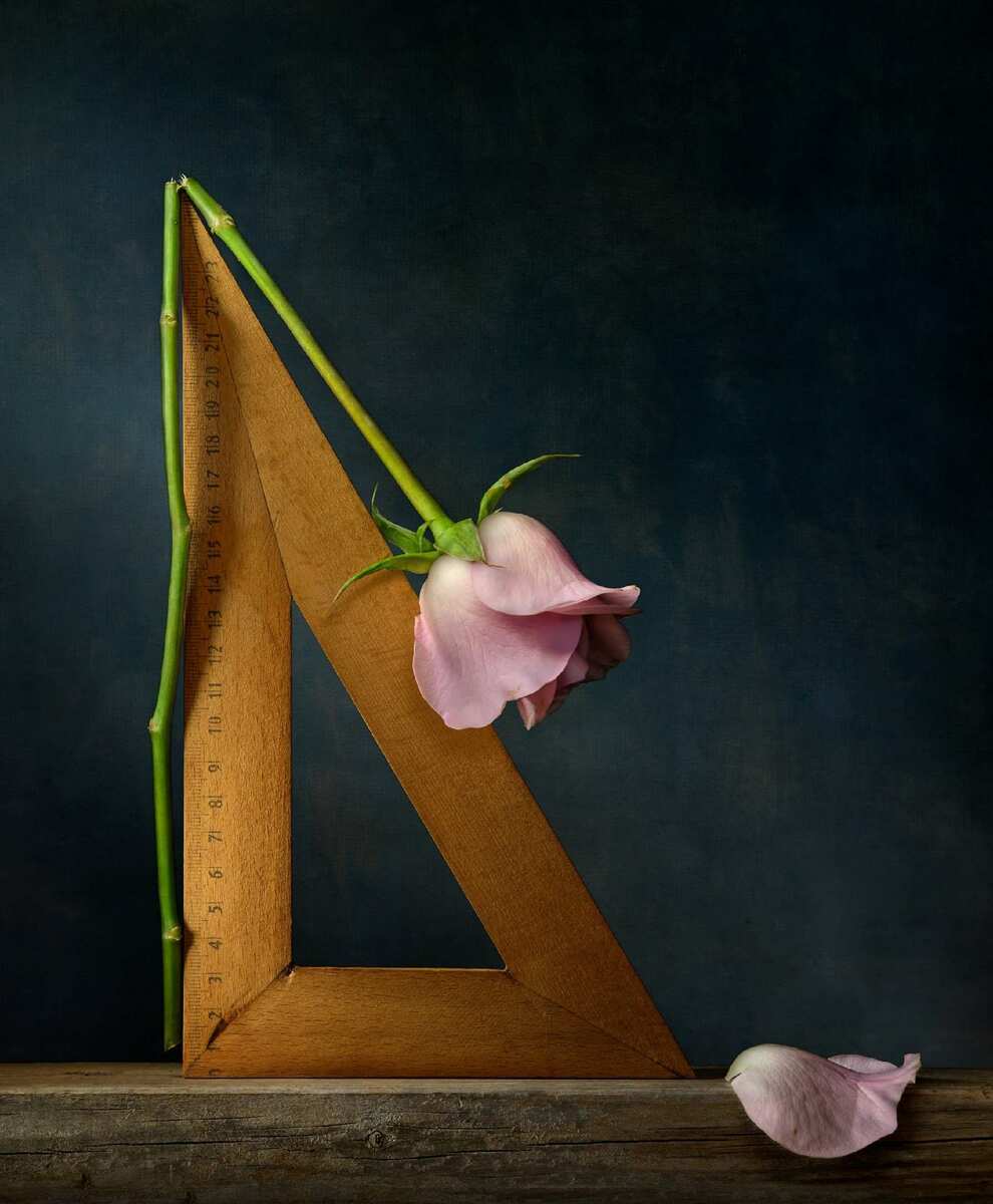 The Contours of Nature