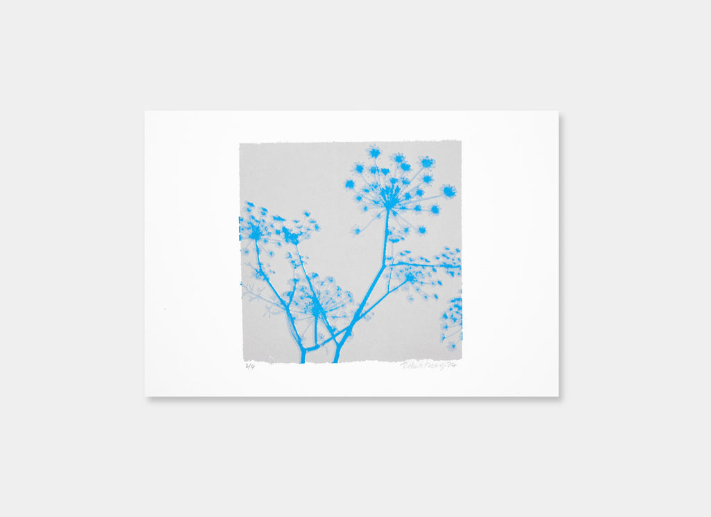 A Greek Dream (Grey/Cyan)