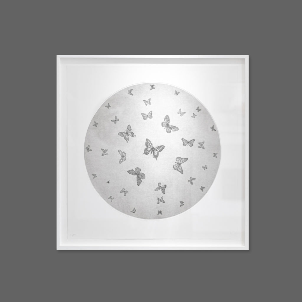 Moon Butterflies