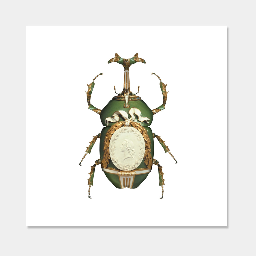 Sèvres Eudicella Gralli