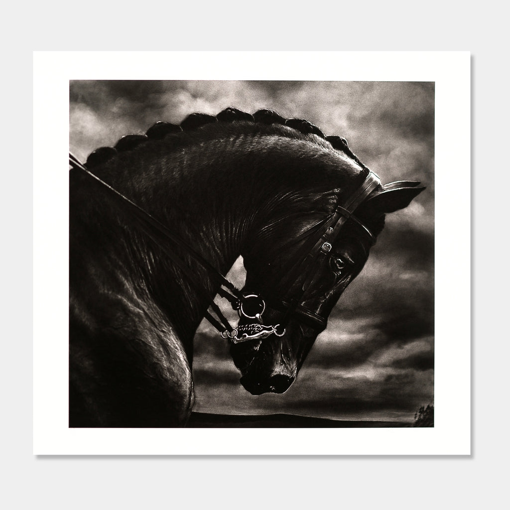 Untitled (Bucephalus)