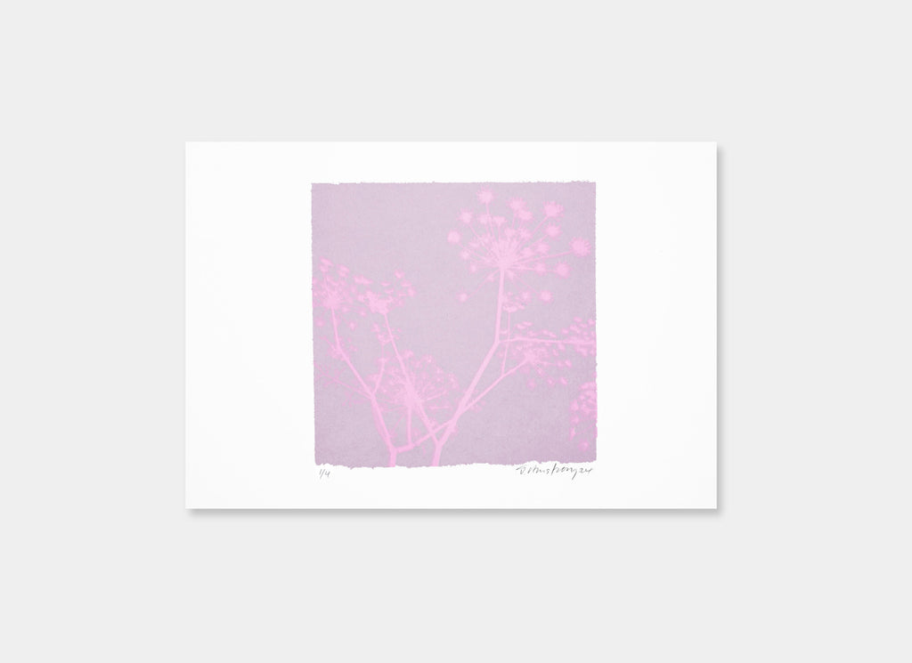 A Greek Dream (Mauve/Pink)