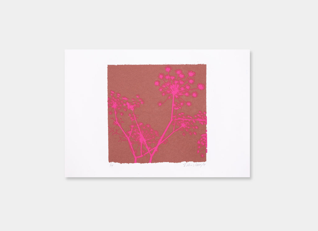 A Greek Dream (Burnt Umber/Magenta)