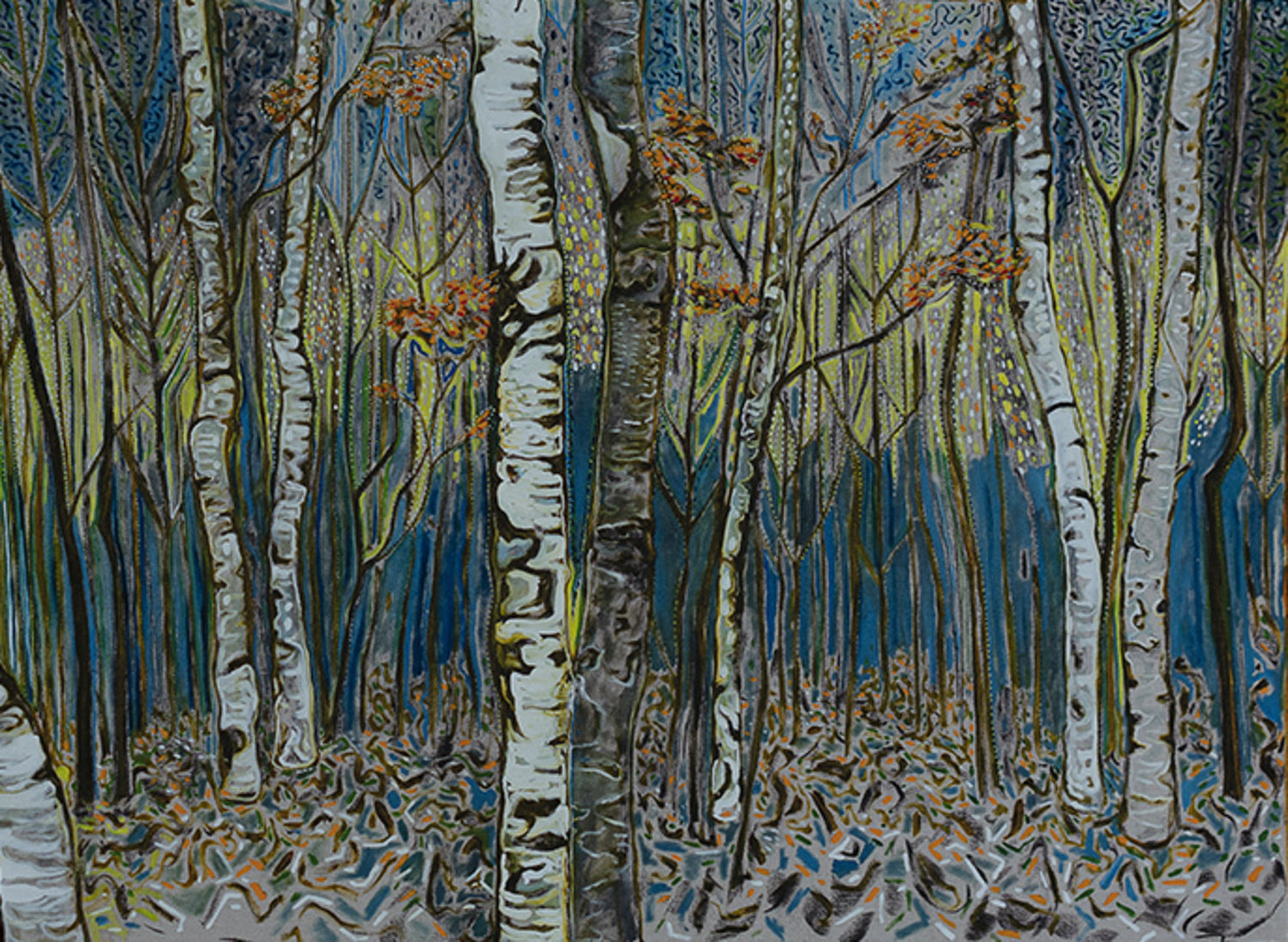 Birch Wood