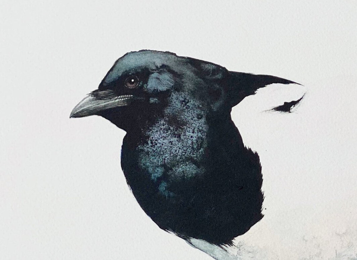 Magpie II