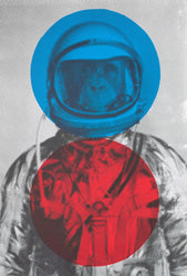 Space Monkey (Large)