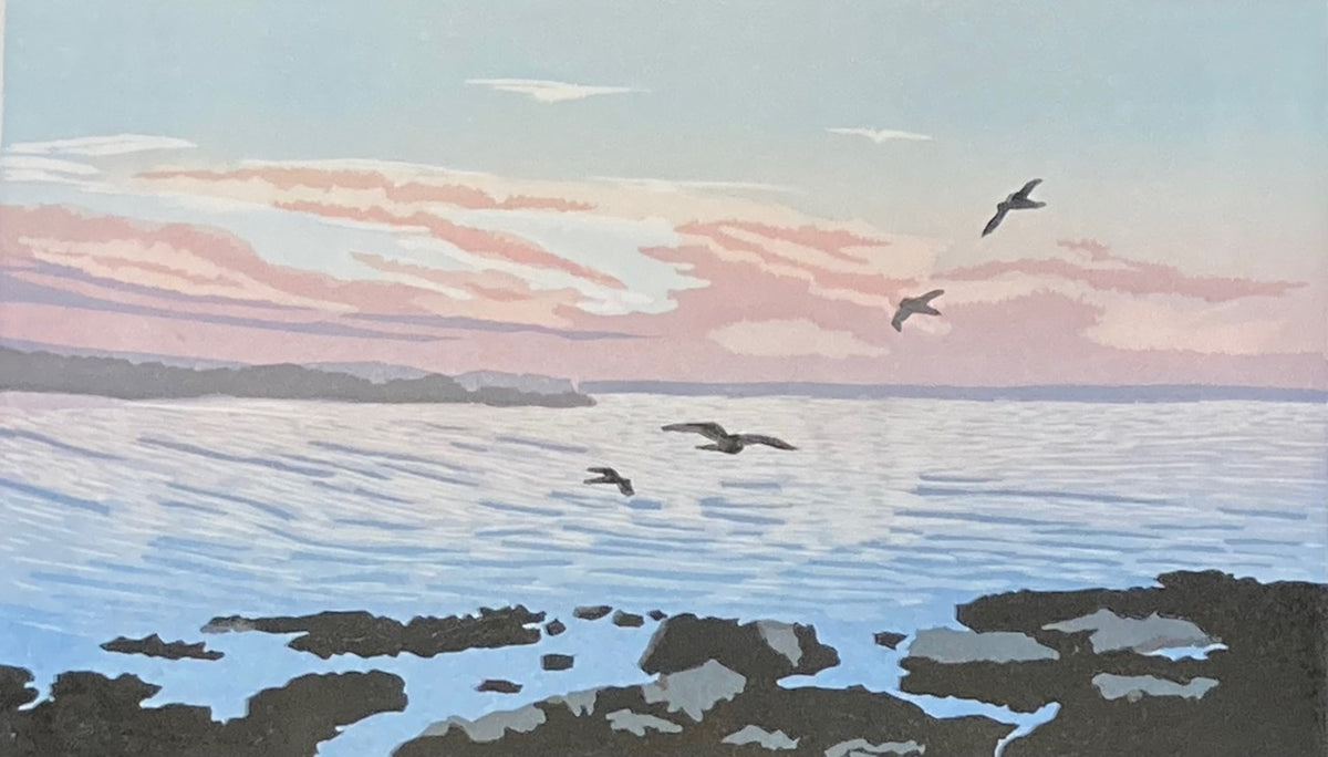 Gulls At Sunset