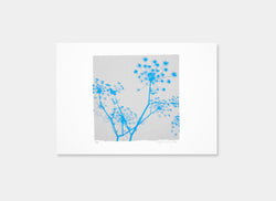 A Greek Dream (Grey/Cyan)