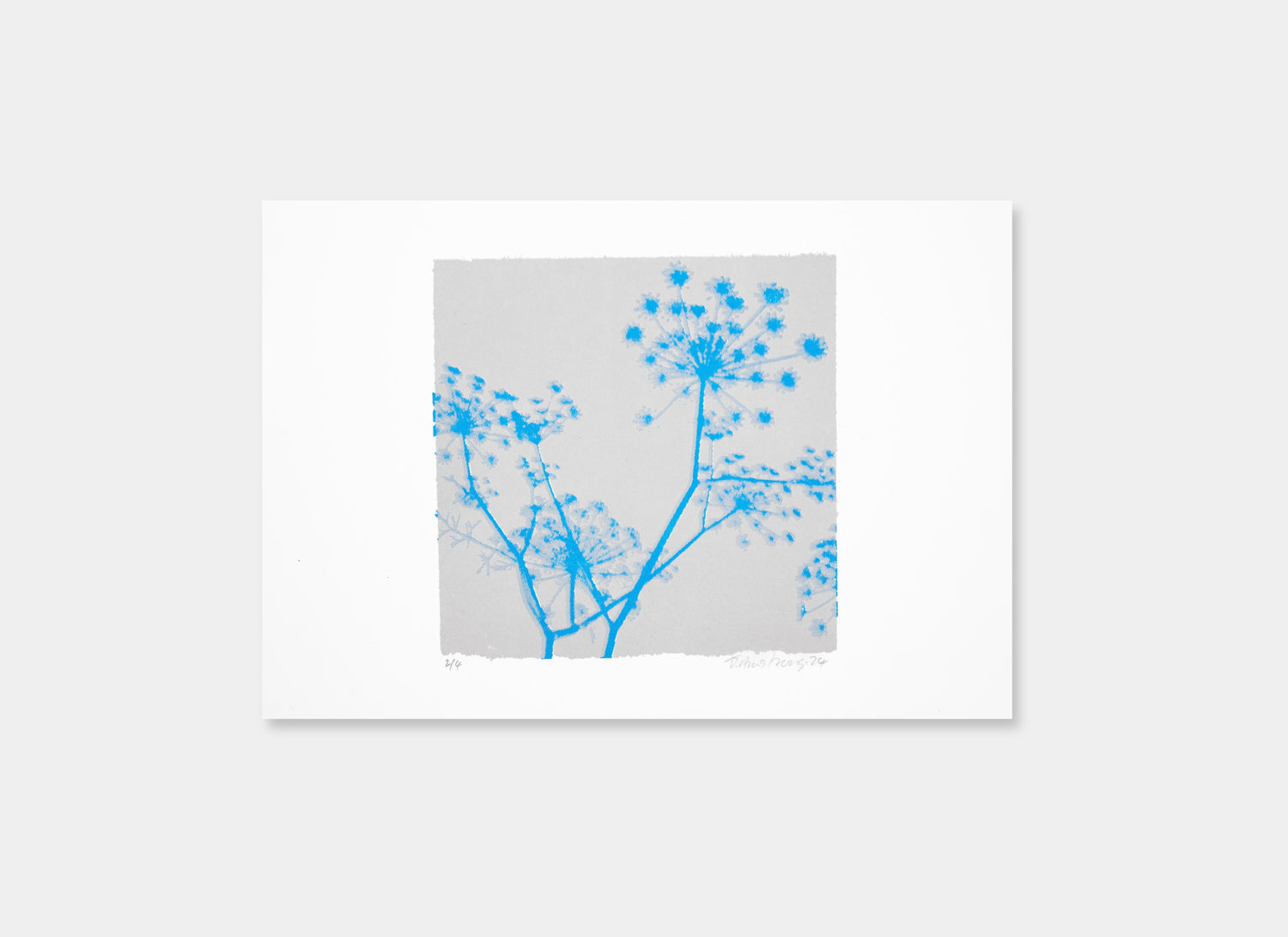 A Greek Dream (Grey/Cyan)