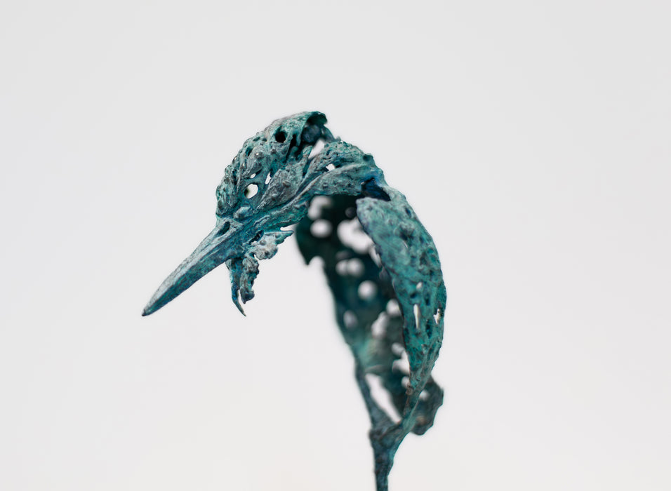 Fragmented Kingfisher