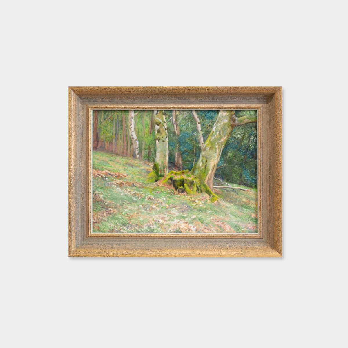 Woodland Scene