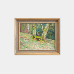 Woodland Scene