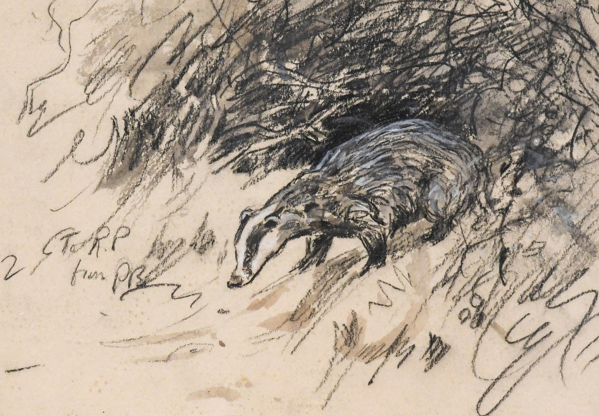 Badger