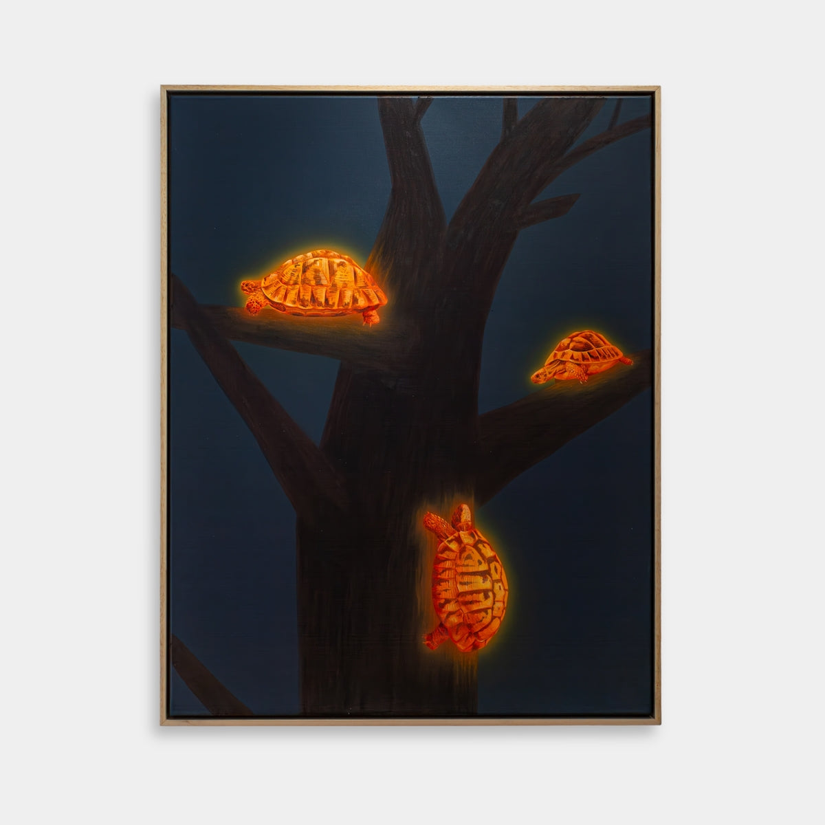 Barking Up The Wrong Tree