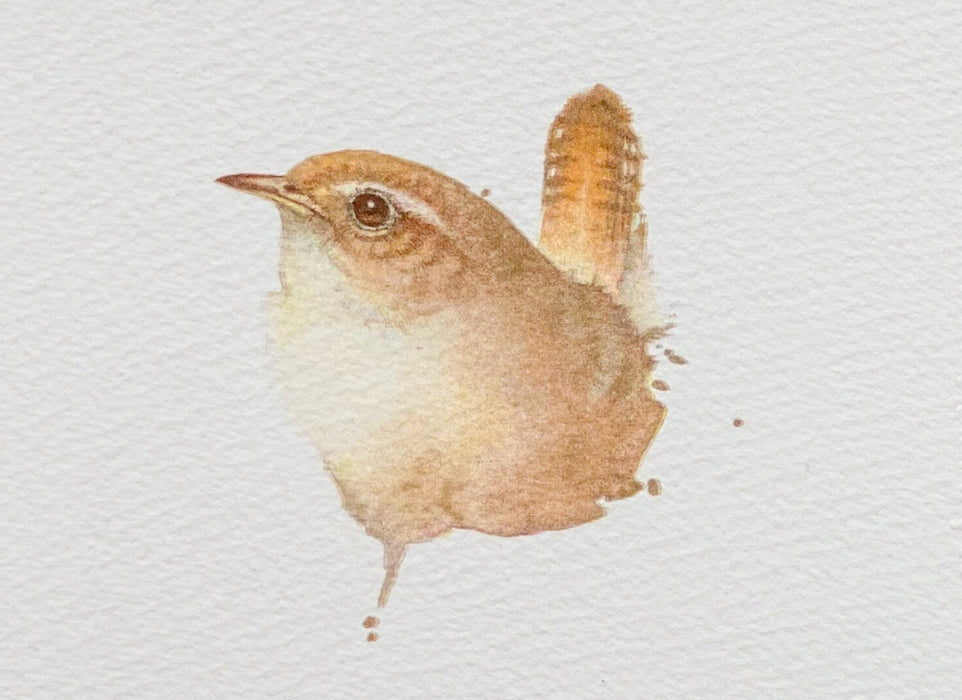 Wren