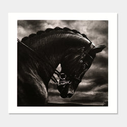 Untitled (Bucephalus)