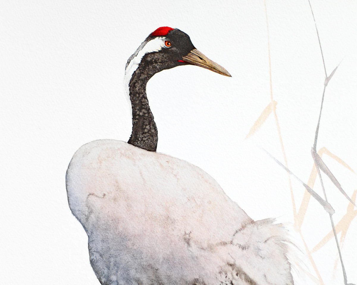 Crane II