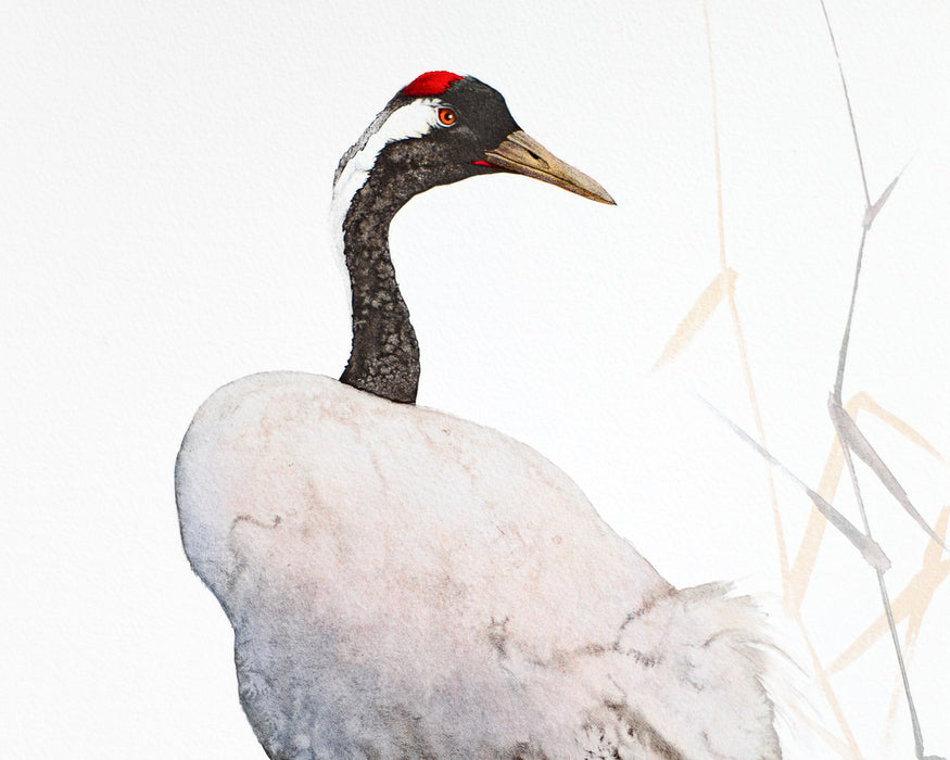 Crane II