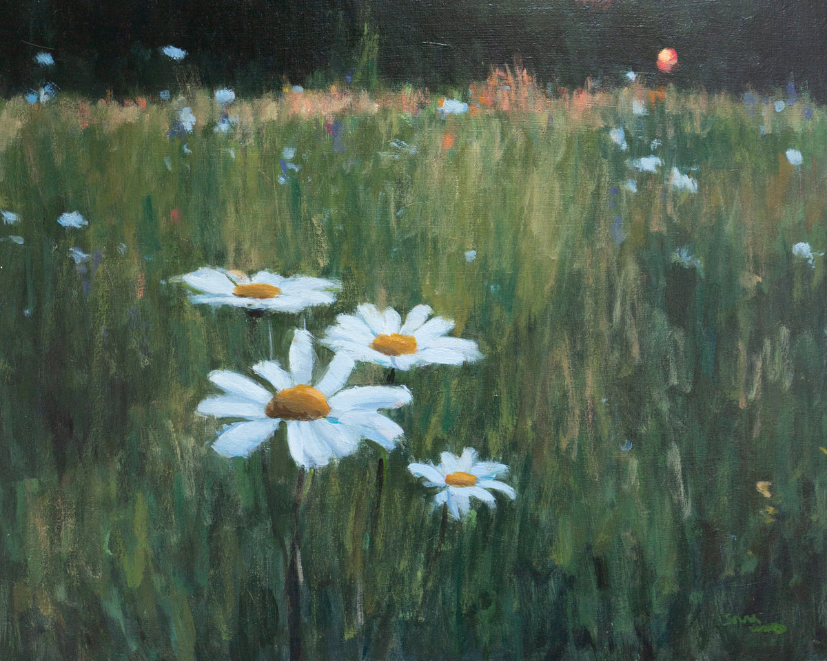 Evening Light