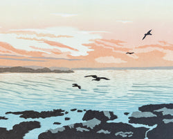 Gulls at Sunset