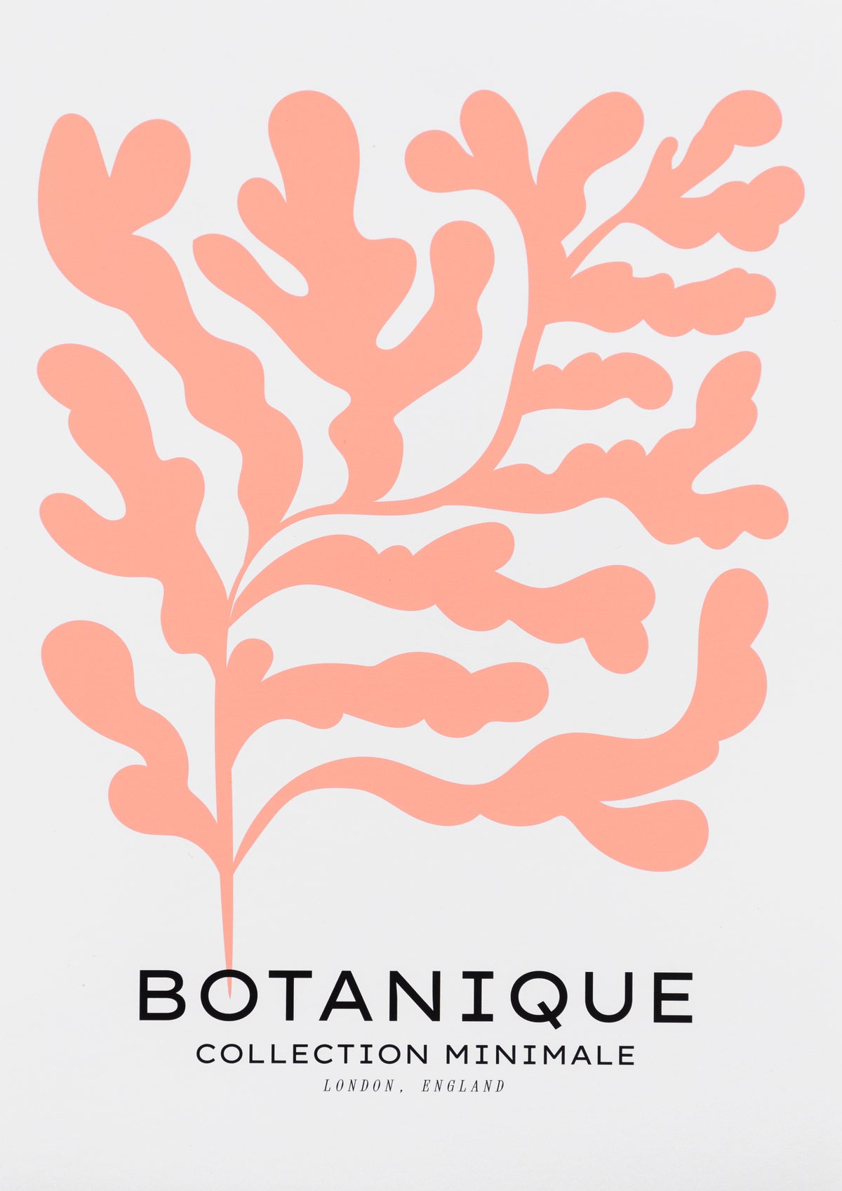 Botanique Minimal Floral Cut Out