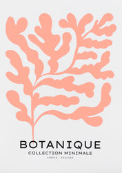 Botanique Minimal Floral Cut Out