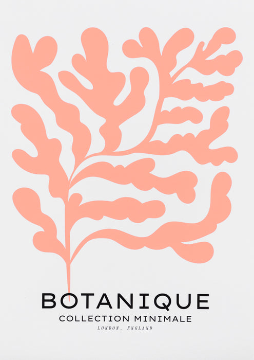 Botanique Minimal Floral Cut Out