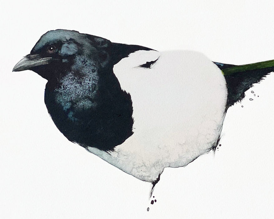 Magpie II