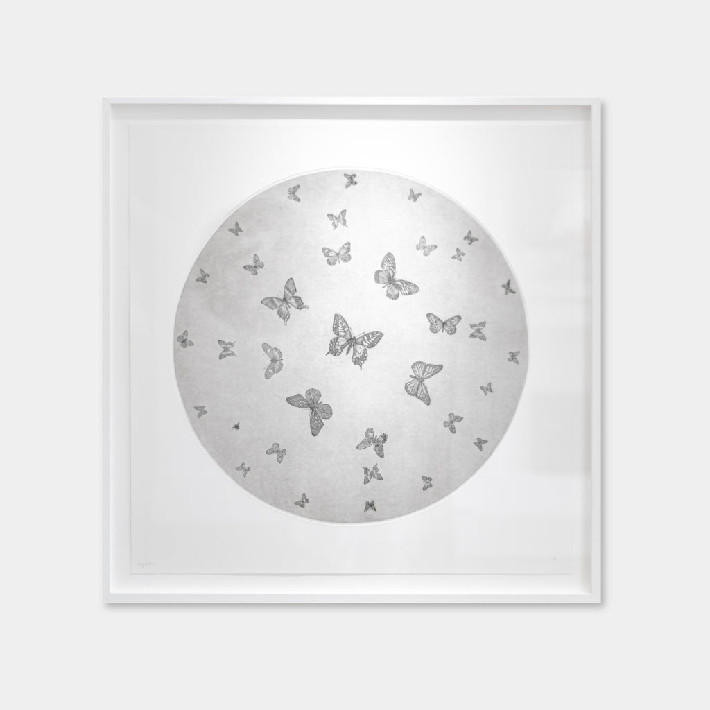 Moon Butterflies