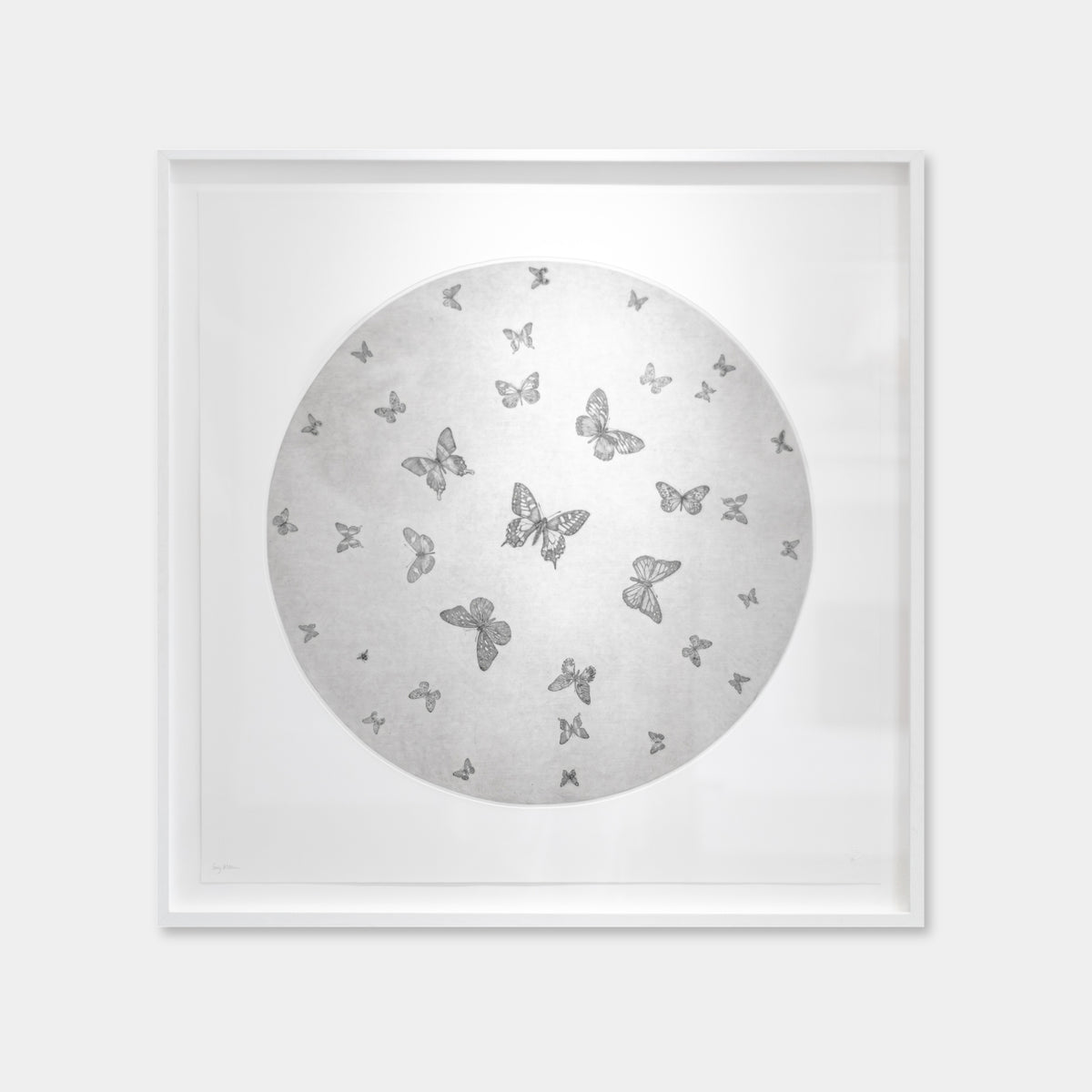 Moon Butterflies