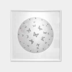 Moon Butterflies
