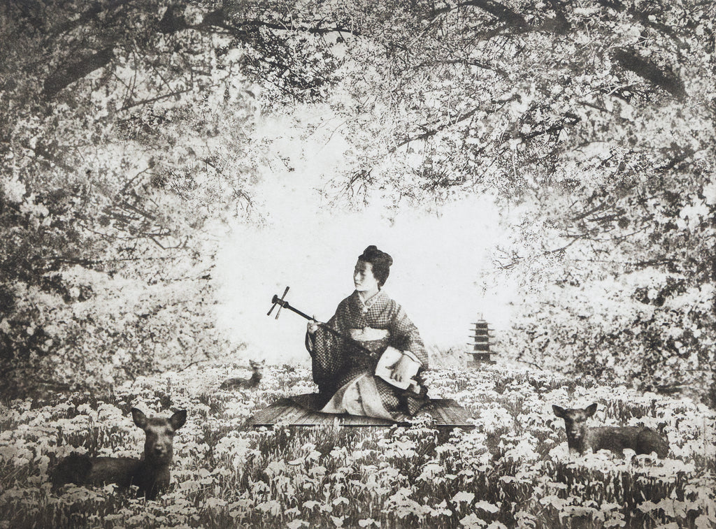 Sakura I