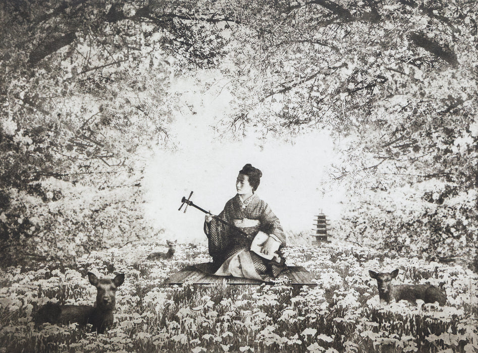 Sakura I