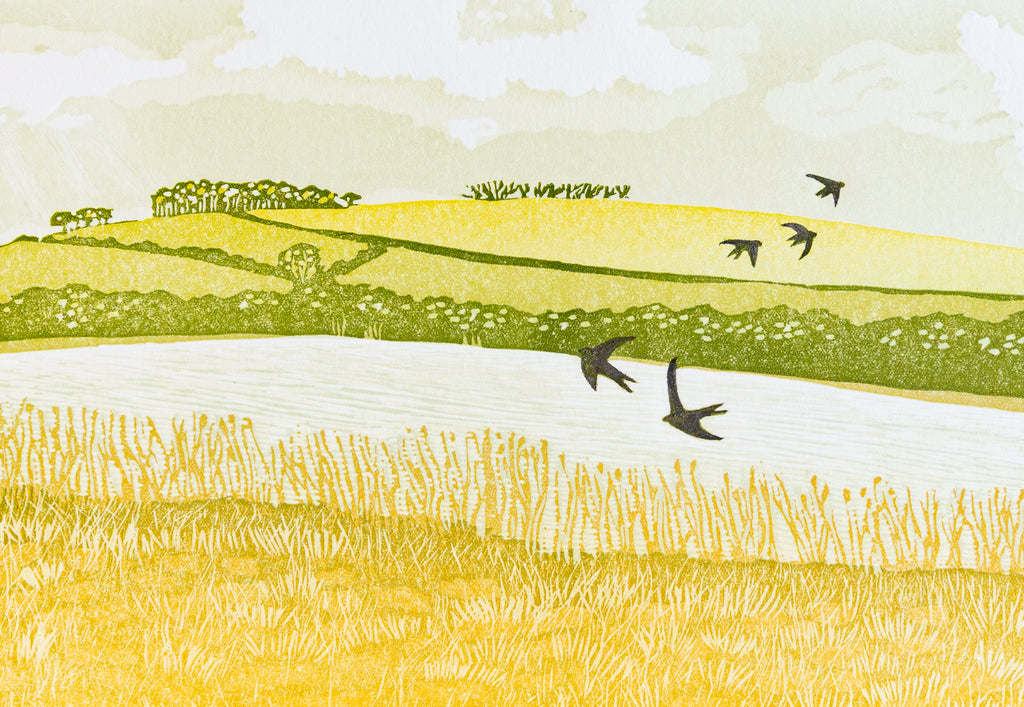 Swallows over the Ley