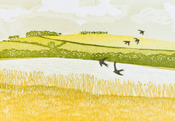 Swallows over the Ley