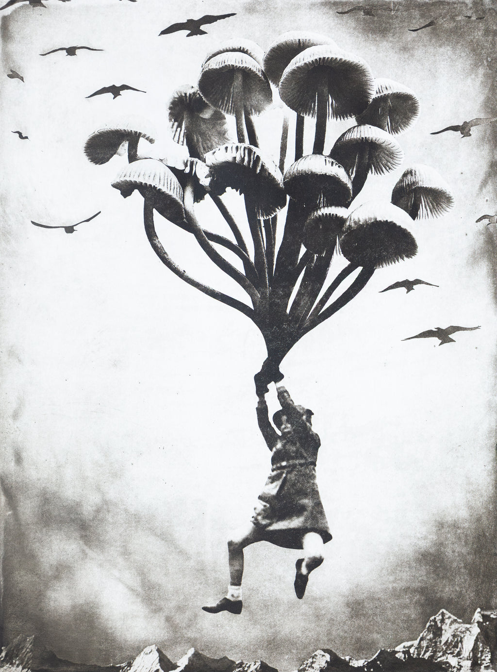The Girl and The Mushrooms