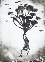 The Girl and The Mushrooms