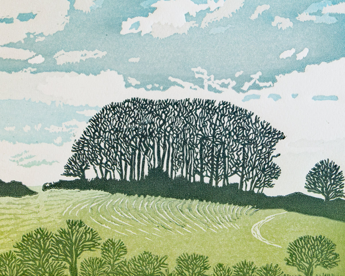 Winter Trees