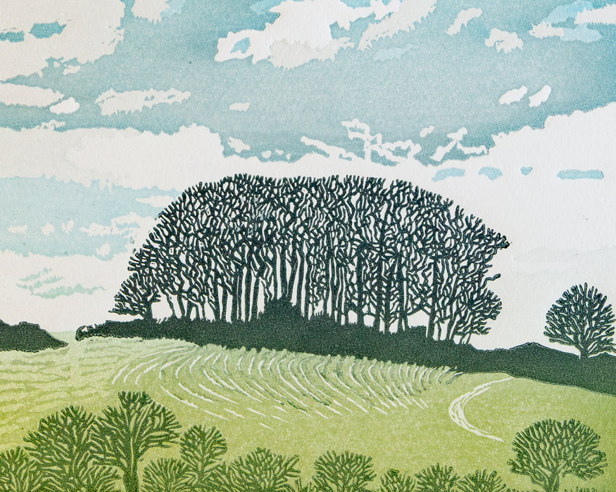 Winter Trees