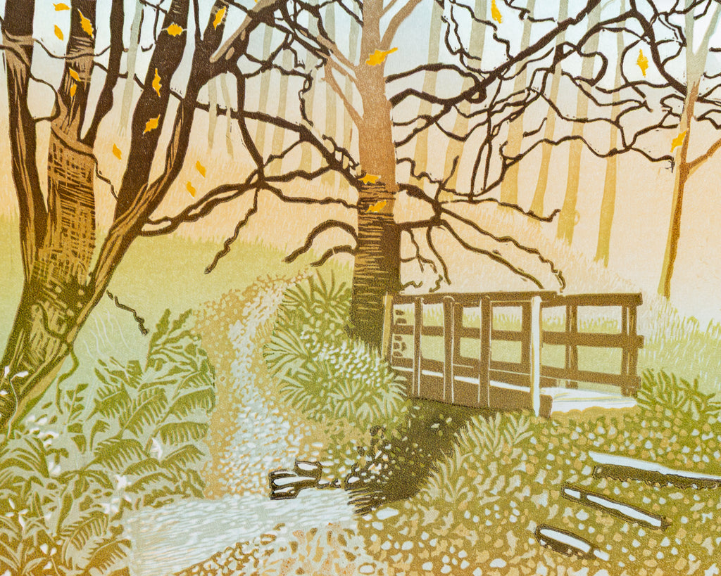 Woodland Stream