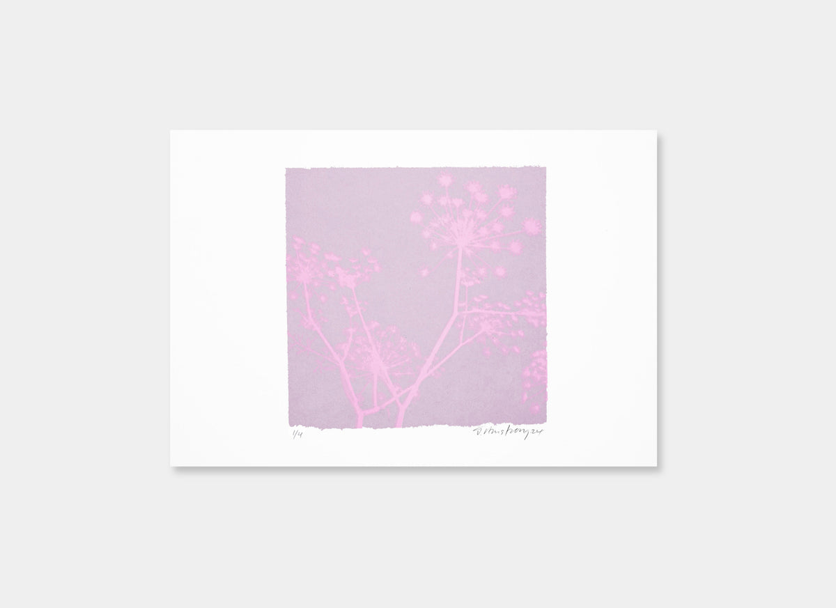 A Greek Dream (Mauve/Pink)