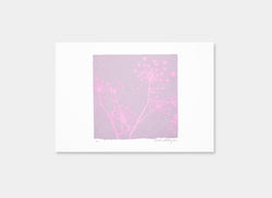 A Greek Dream (Mauve/Pink)