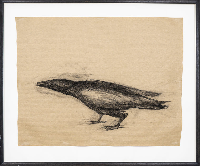 Untitled (Crow 2) – Nicola Hicks – Hancock Gallery
