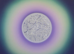 Meteorite Auric Field (Diamond Dust)