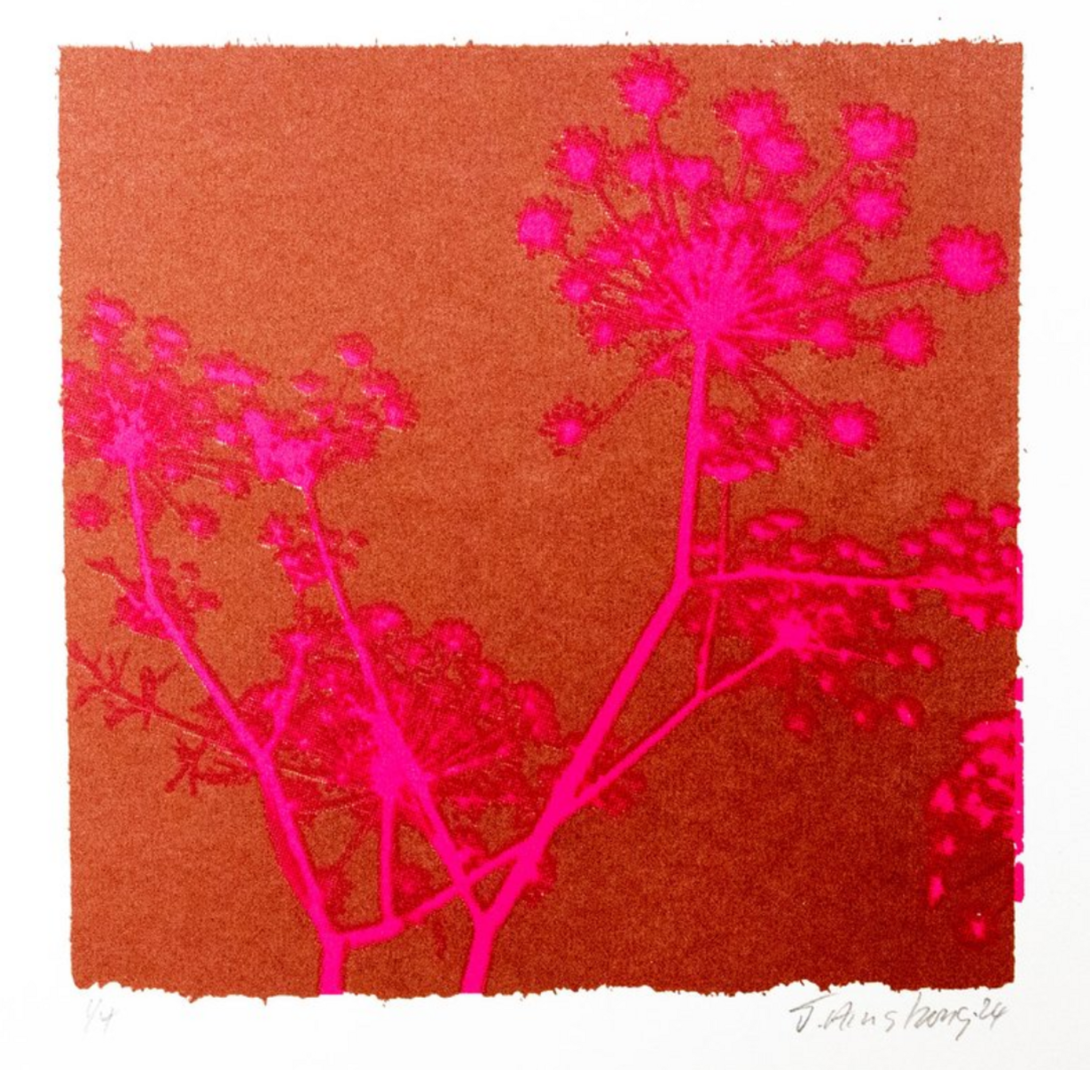 A Greek Dream (Burnt Umber/Magenta)