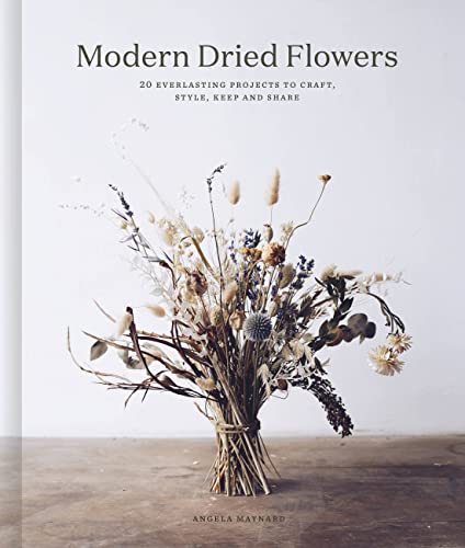 Modern Dried Flowers by Angela Maynard