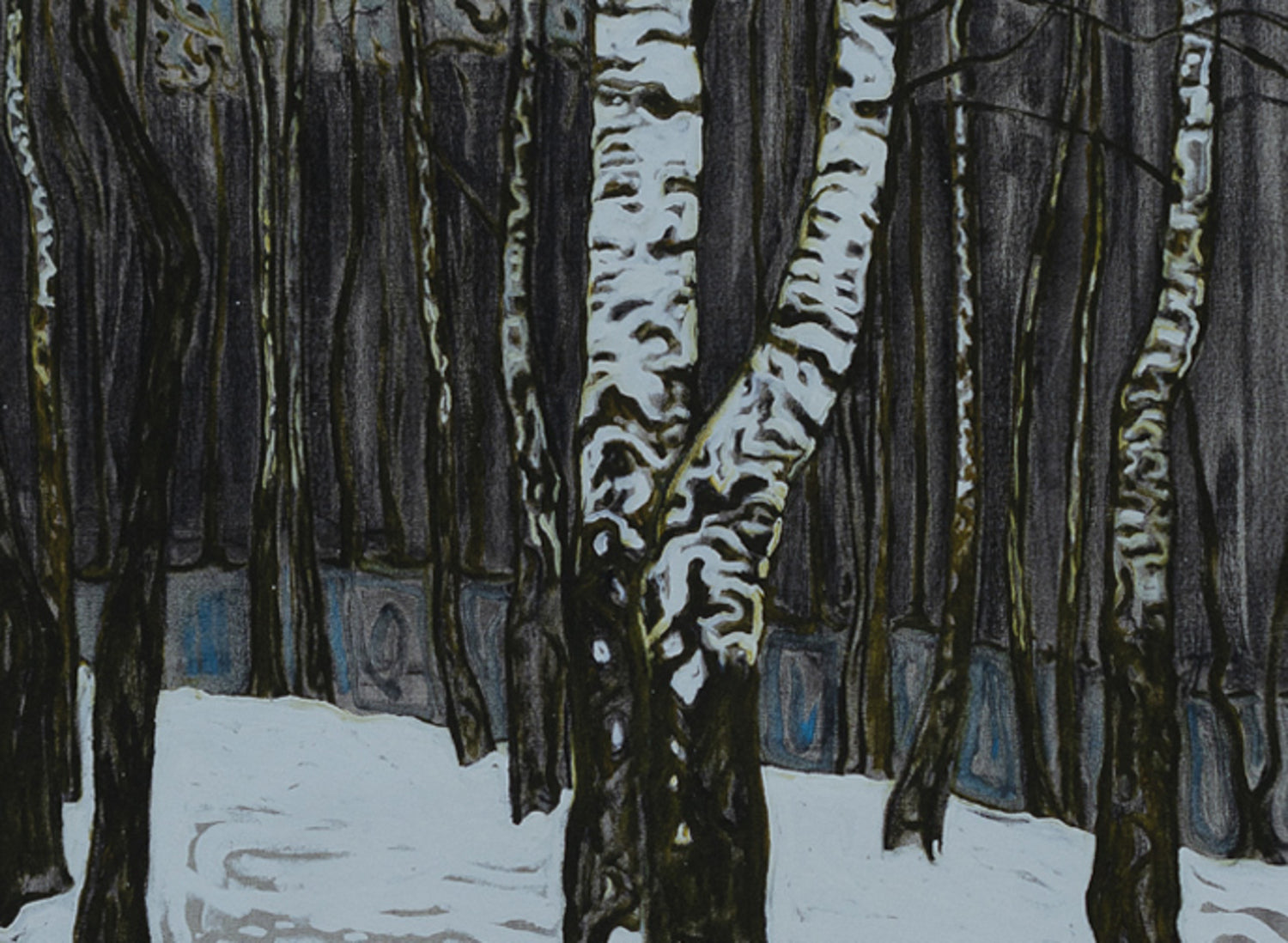 Birchwood In Winter