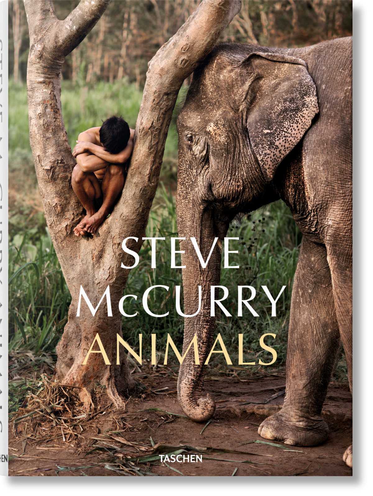 Steve McCurry: Animals