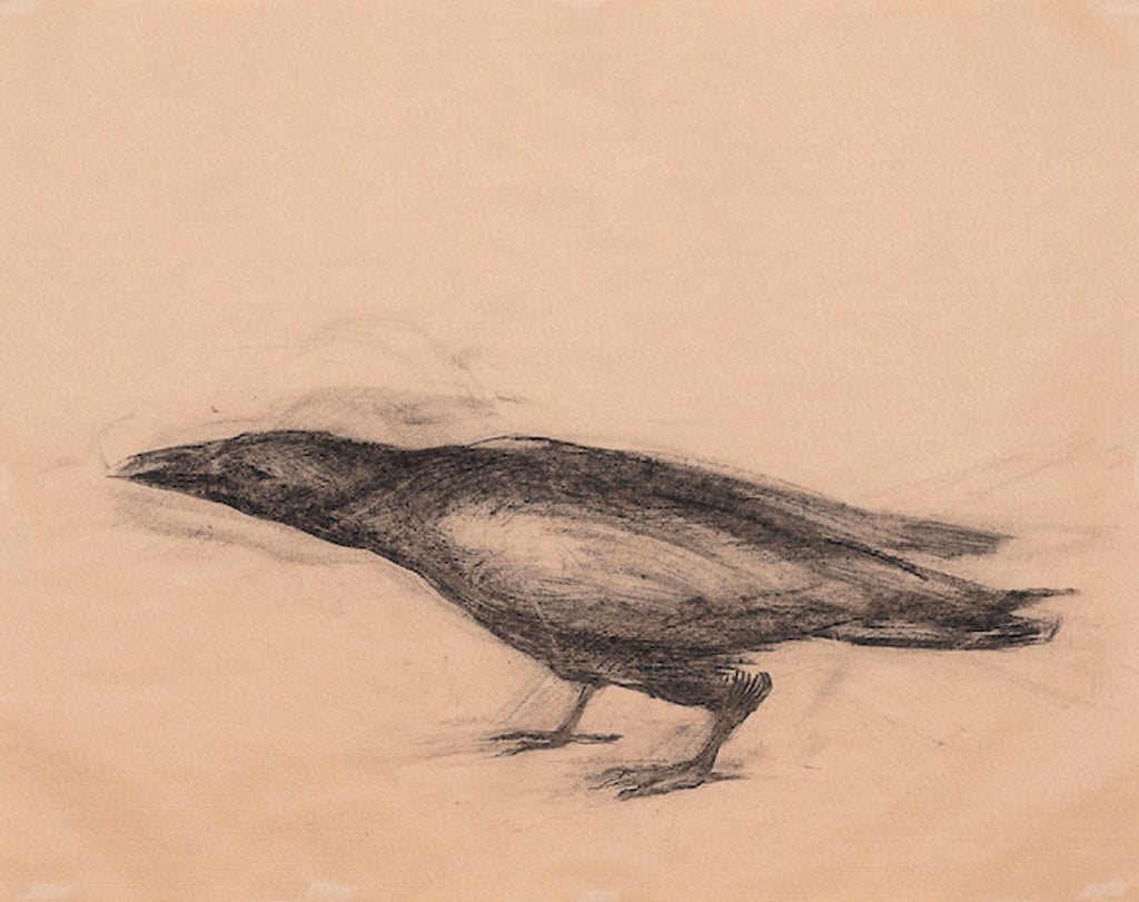 Untitled (Crow 2)